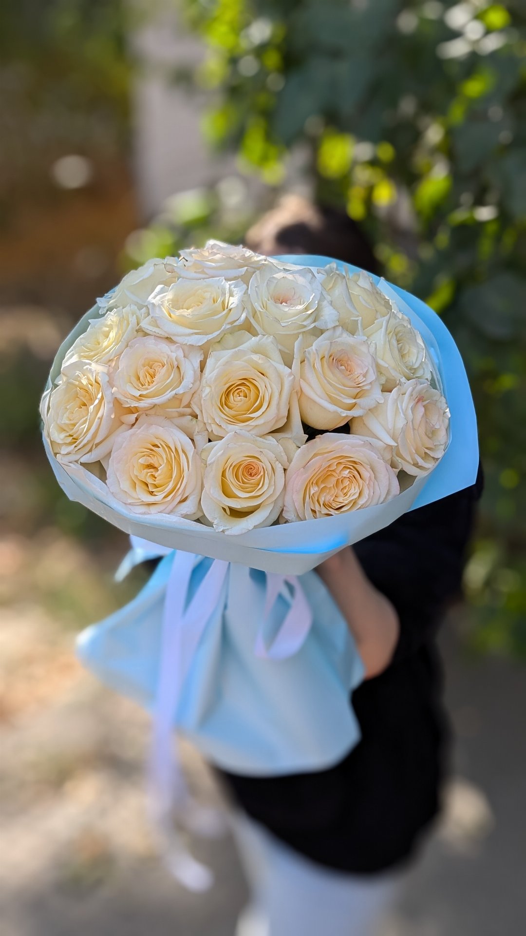 Роза Канделайт 15 шт.